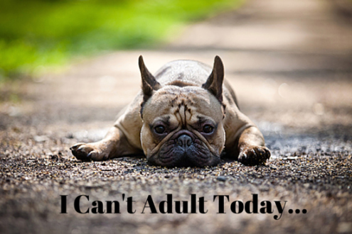 I_Cant_Adult_Today